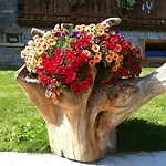 Lo Peyo Hotel apartamentowy Champoluc